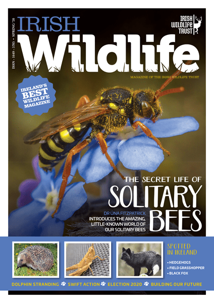 Irish Wildlife Spring 2020 Cover