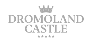 Ashville Media Client Gray Logo - Dromoland Castle