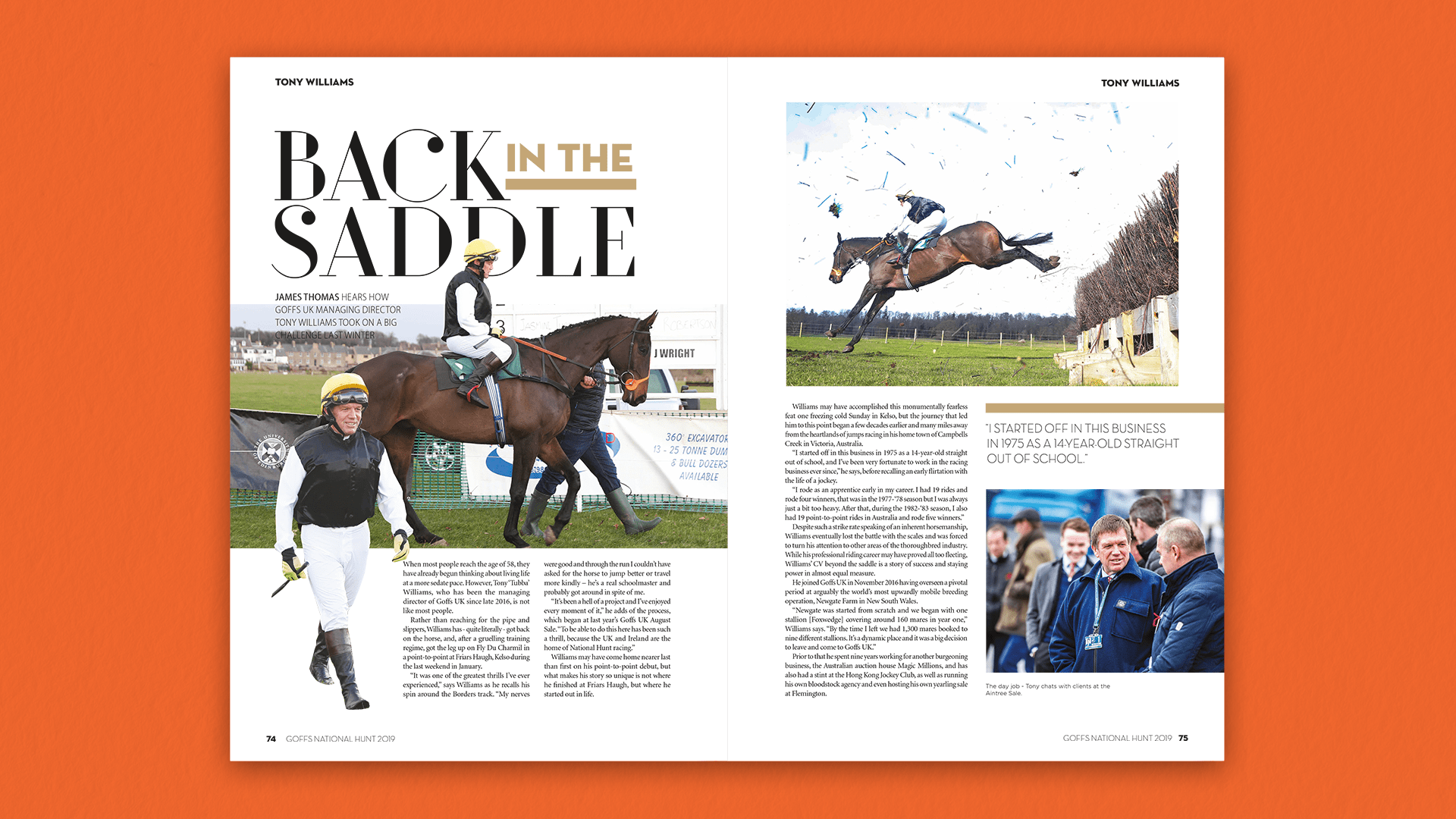 Goffs National Hunt 2019 Feature Spread B