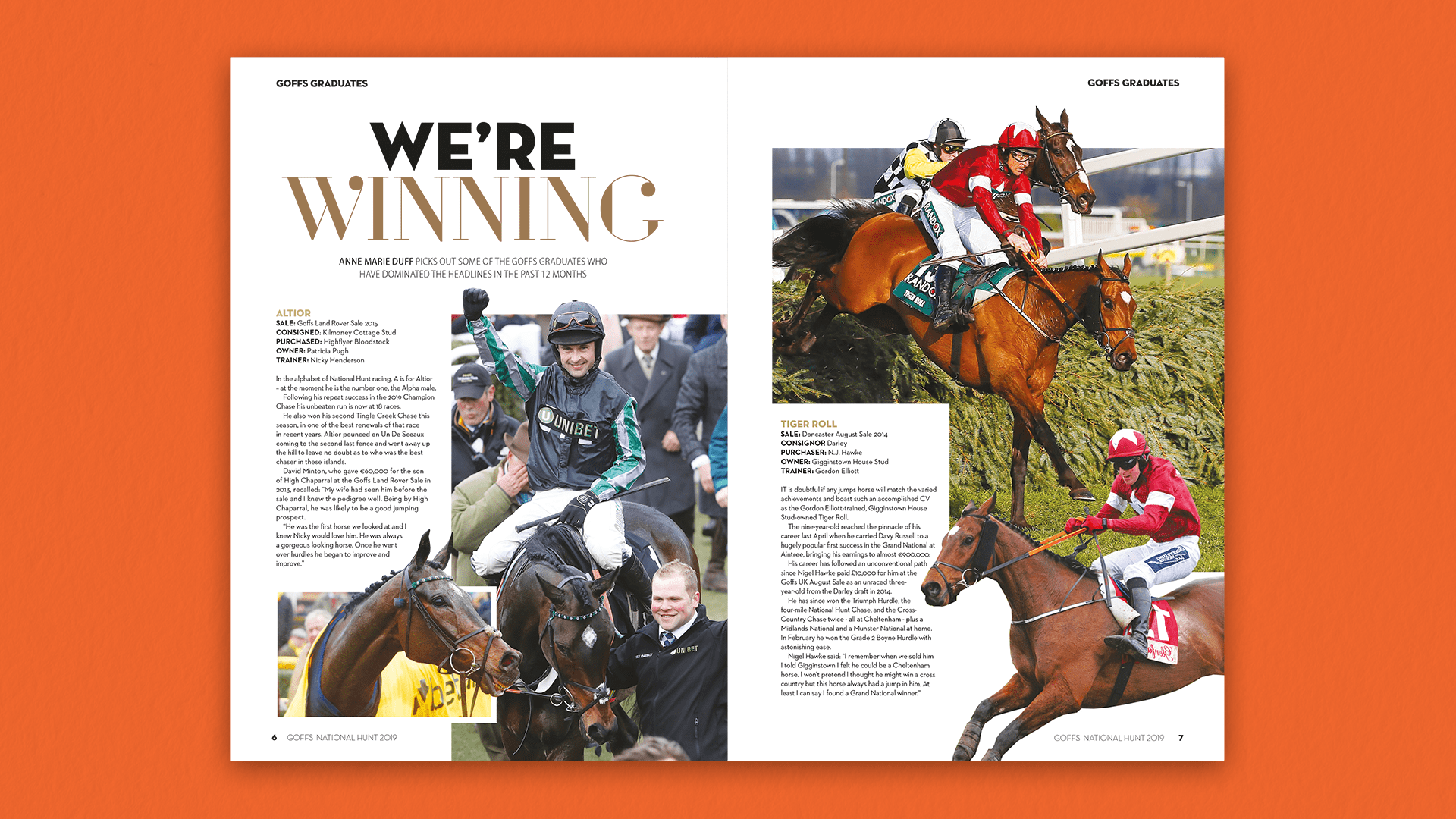 Goffs National Hunt 2019 Feature Spread A