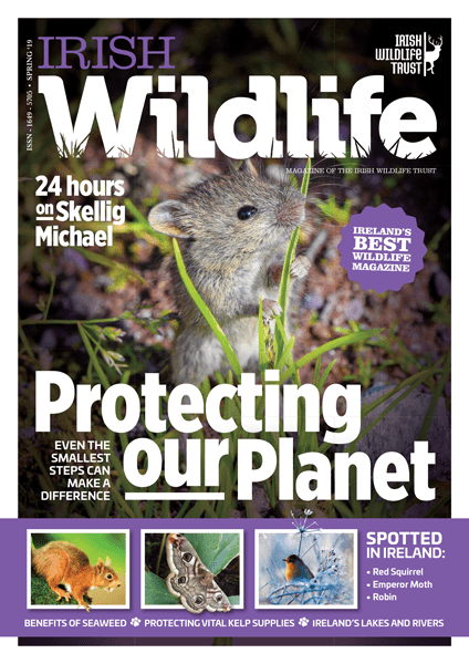 Irish Wildlife Spring 2019 Cover