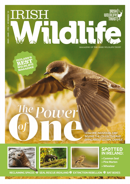 Irish Wildlife Summer 2019 Cover