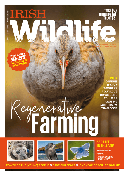 Irish Wildlife Winter 2020 Cover