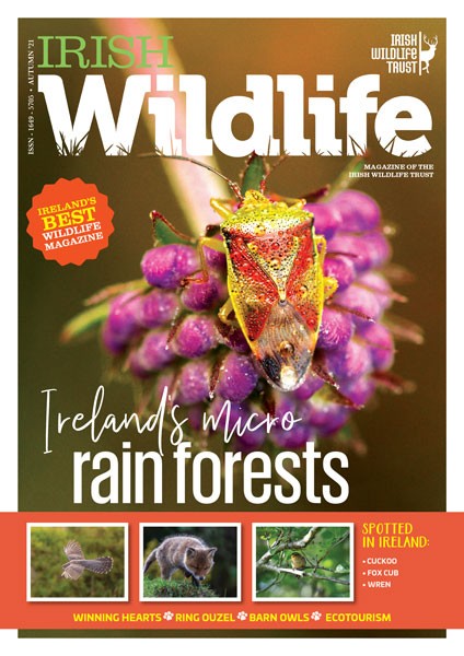 Irish Wildlife Trust Autumn 2021