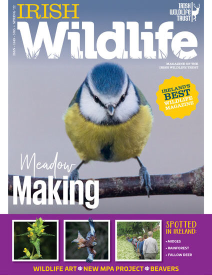 Irish Wildlife Trust Spring 2022 Cover
