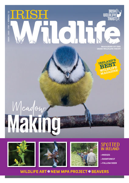 Irish Wildlife Trust Spring 2022 Cover