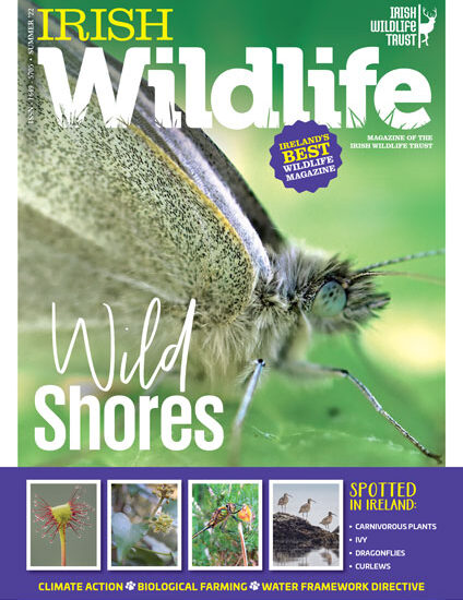 Irish Wildlife Trust Summer 2022 Cover