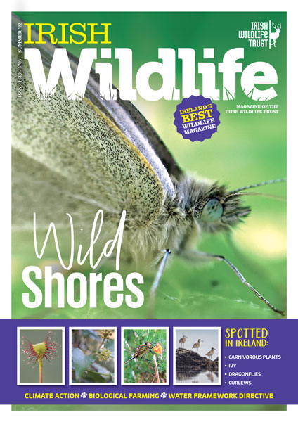 Irish Wildlife Trust Summer 2022 Cover