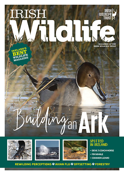 Irish Wildlife Trust Winter 2022 Cover