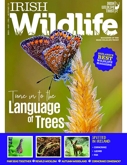 Irish Wildlife Trust Autumn 2023 Cover