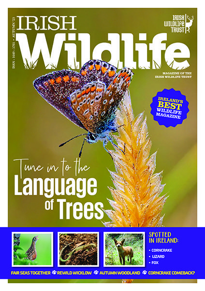 Irish Wildlife Trust Autumn 2023 Cover